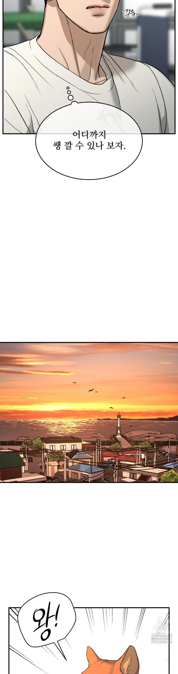 1737584082914pw8qpas3x7.jpg