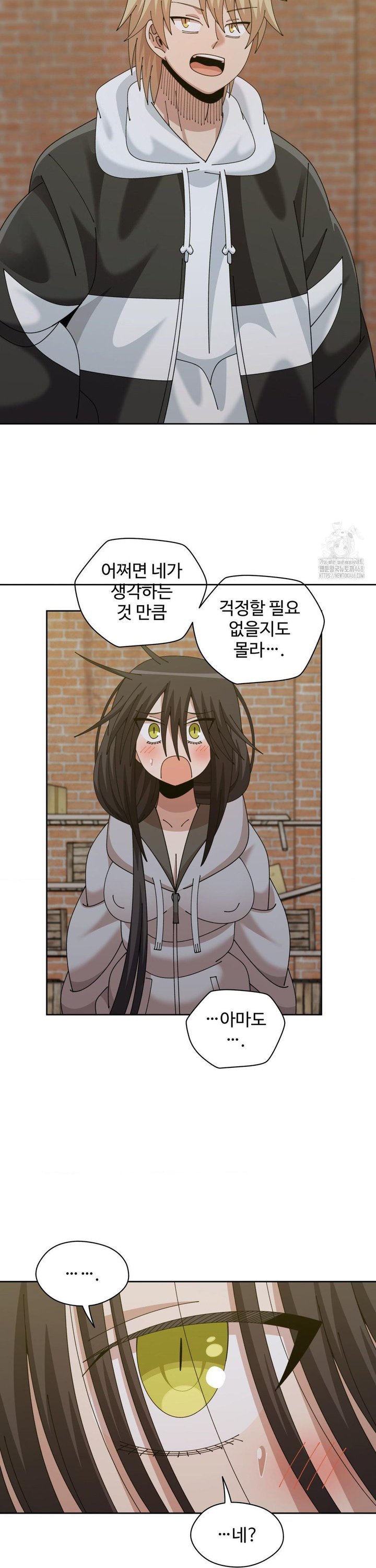 1738016311513vkwhsx68jhi.jpg