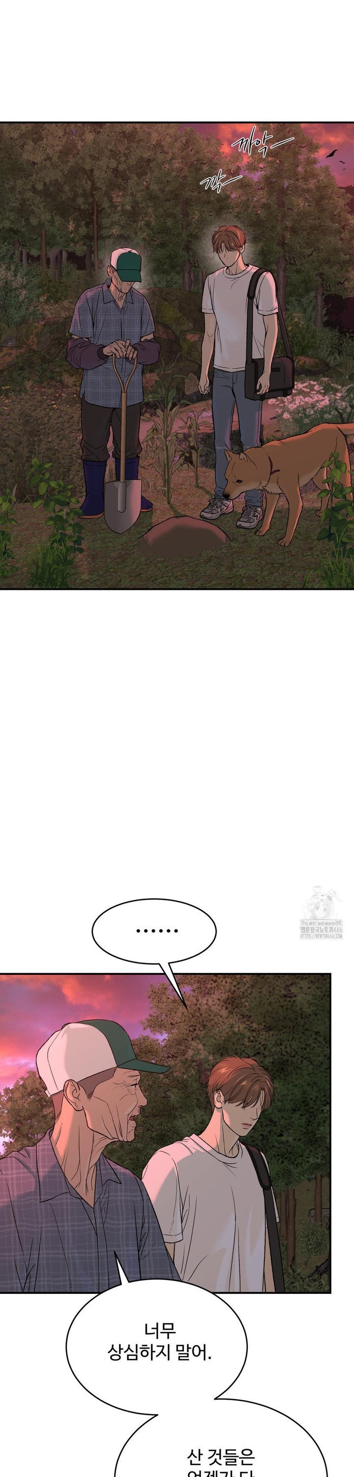 17358640322627t5talj75tl.jpg