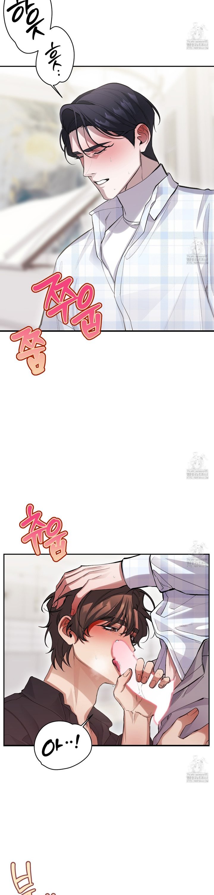 1739656119813thhbipsdp5.jpg