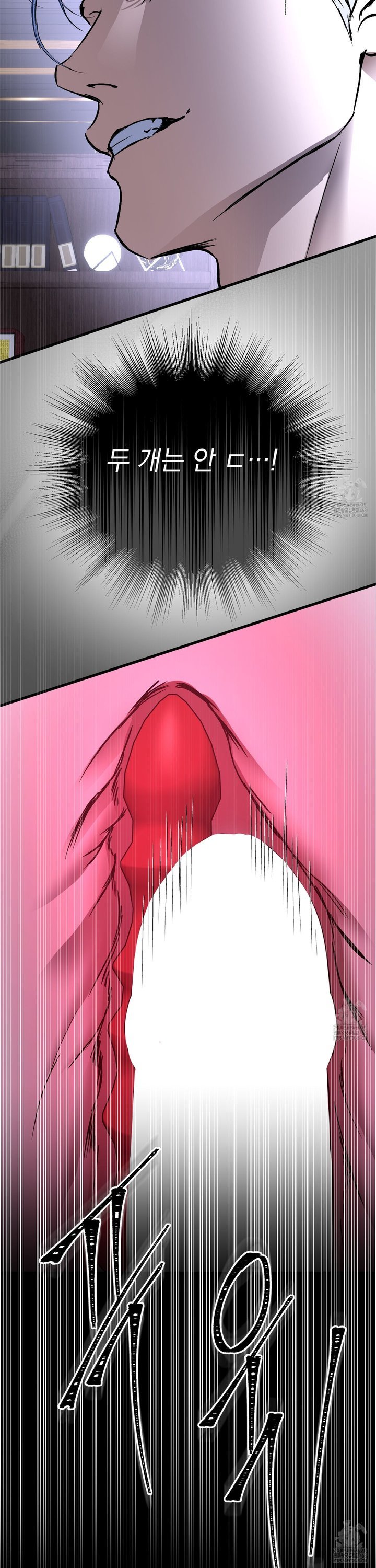 1739743317561kzsf7vqiba.jpg
