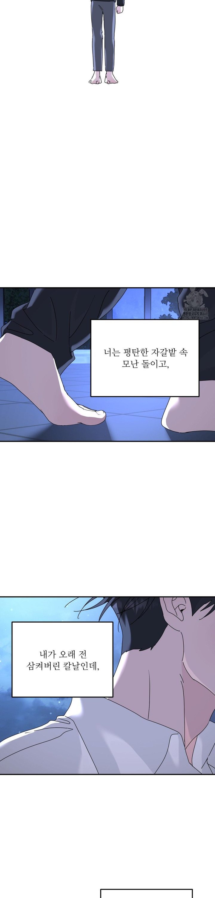 1740006212753rmtt9th9yh.jpg