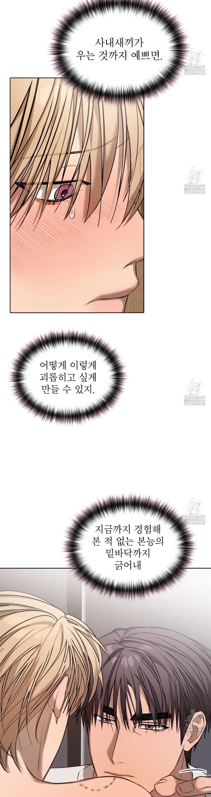 1740005675033r8o89koa22.jpg