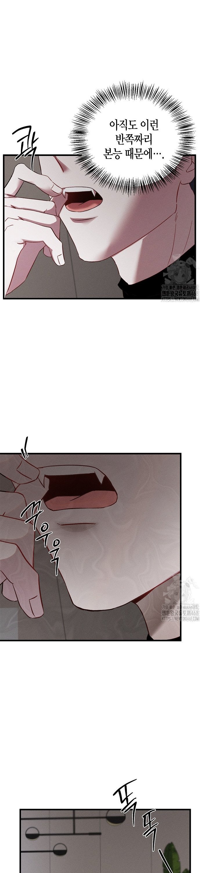 1740369739428vobetwwqf3d.jpg