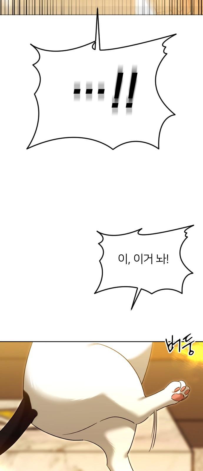 17406059670319hw5ei253me.jpg