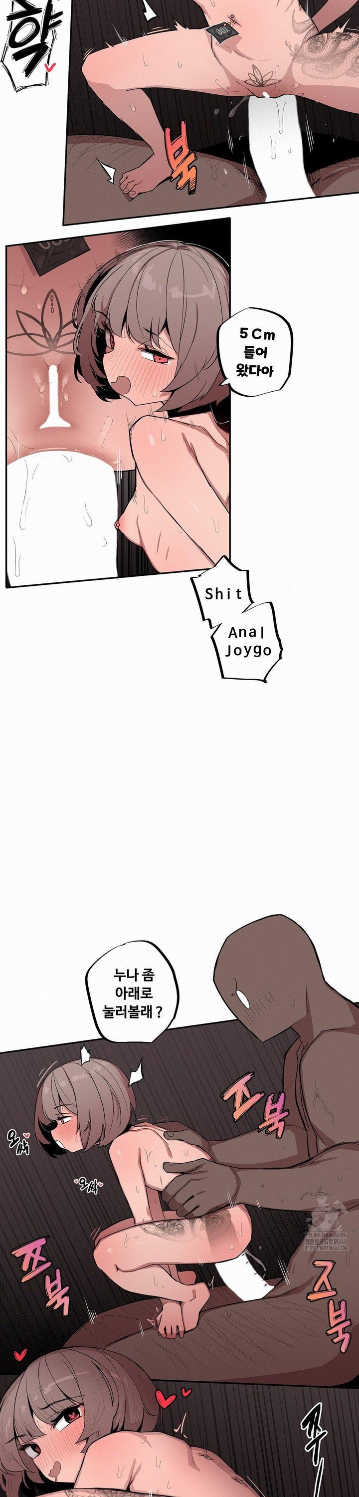 1740605387785rj20661byec.jpg