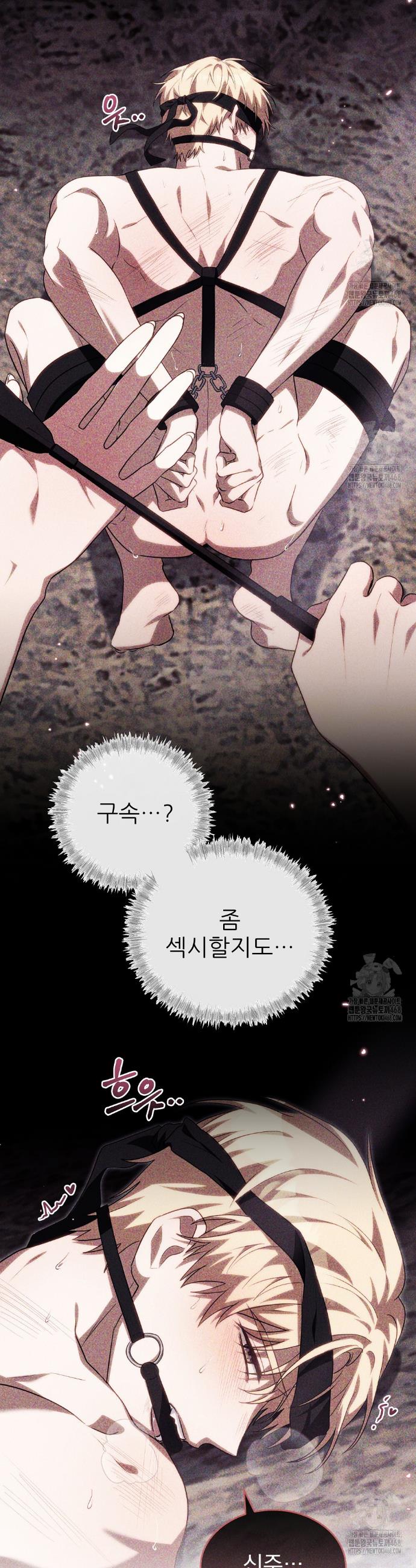 17406068472750h0llp193so.jpg