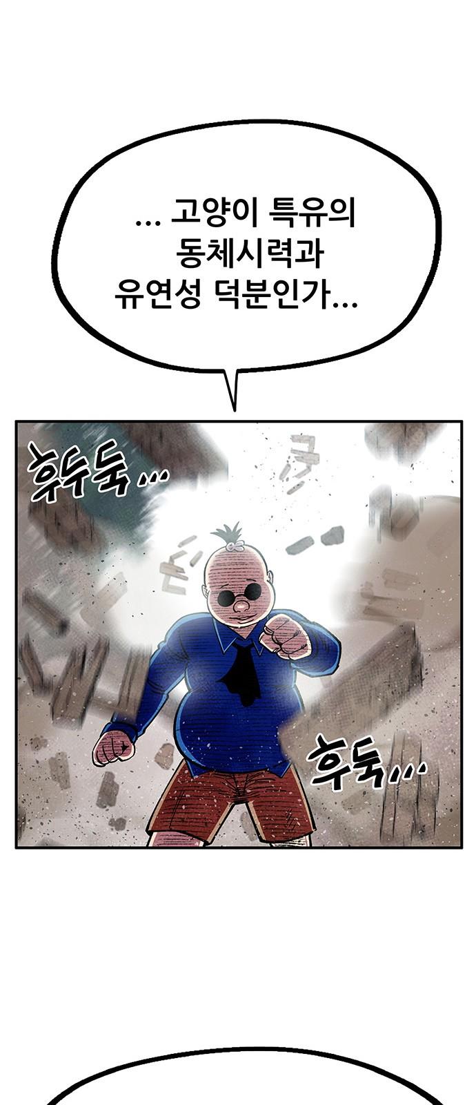 17406060440952qvpobshesb.jpg