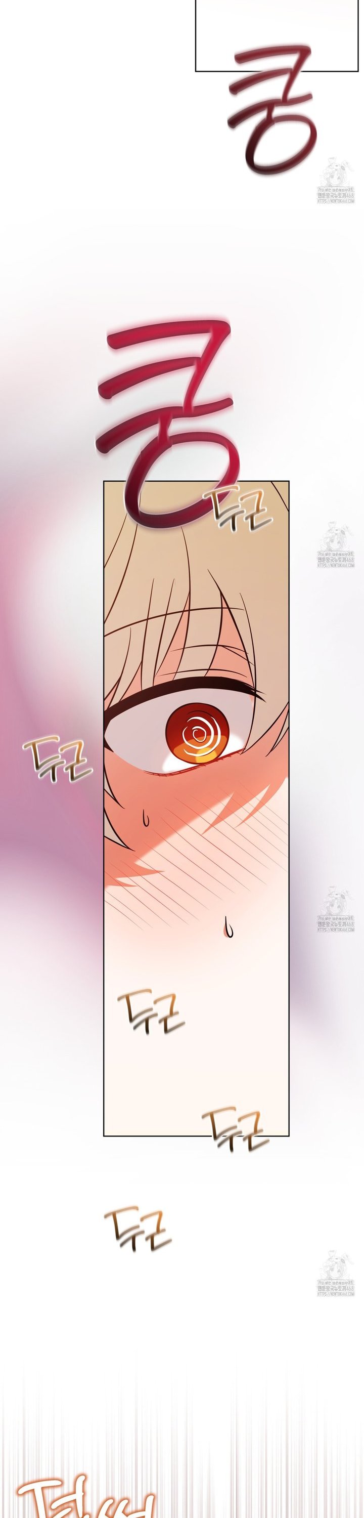 1738638370081zezlnuao16.jpg