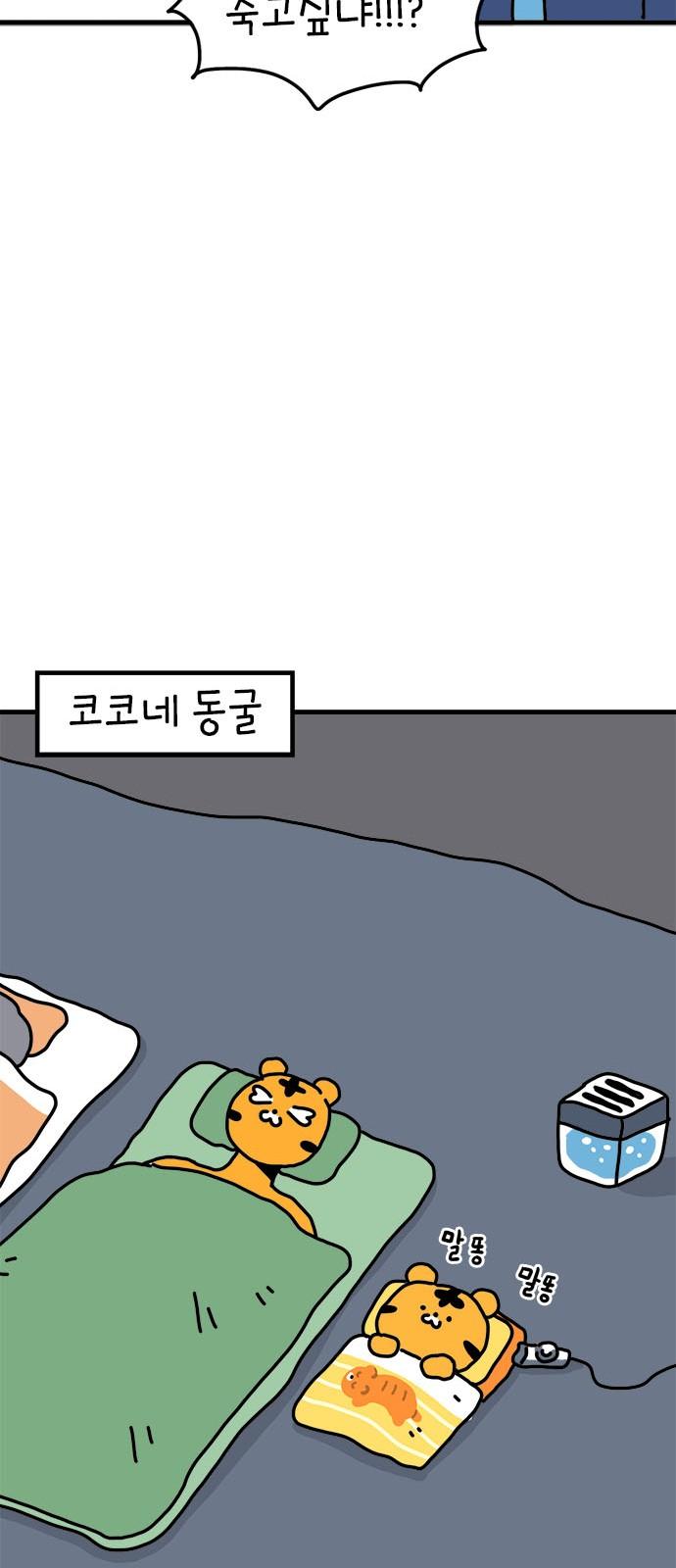1738791572215kbtlxtmgzko.jpg