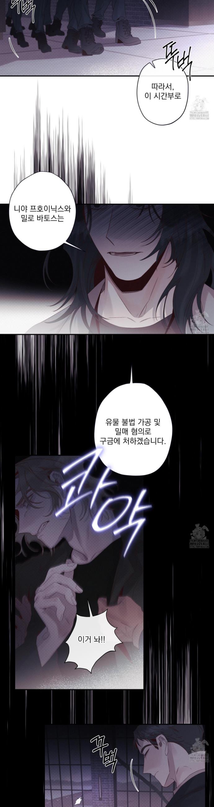 1741733724049g9bdvb51ycr.jpg