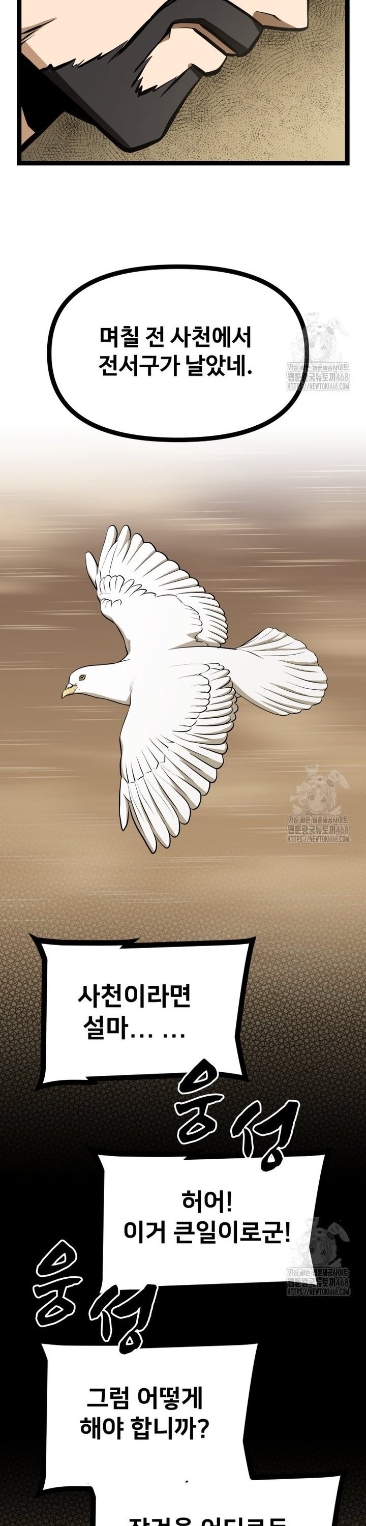 1741822091183pwy2tojundf.jpg