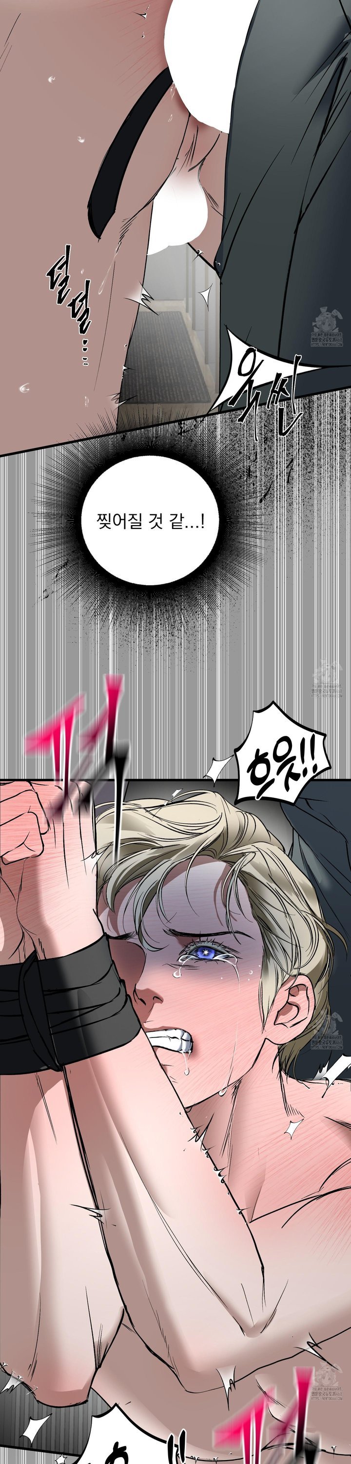 1742182587154ou2zrpnsh2l.jpg