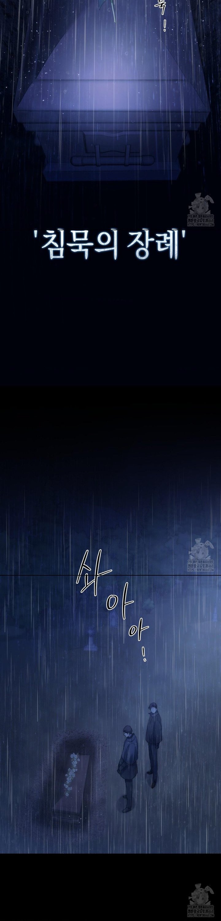 17408785746192xmw9m2xrui.jpg