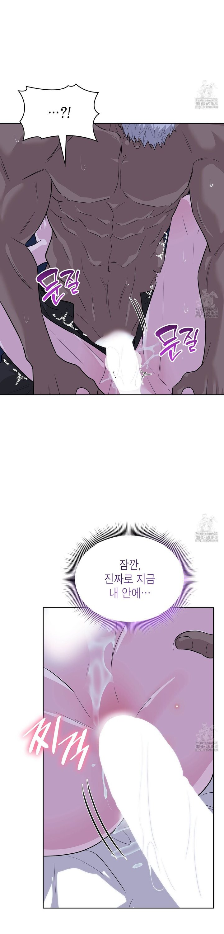 1743128899049gj8fkawico5.jpg