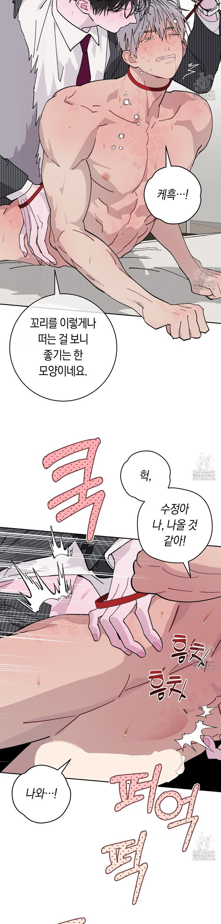 17431295282089nmvkqnv6cr.jpg