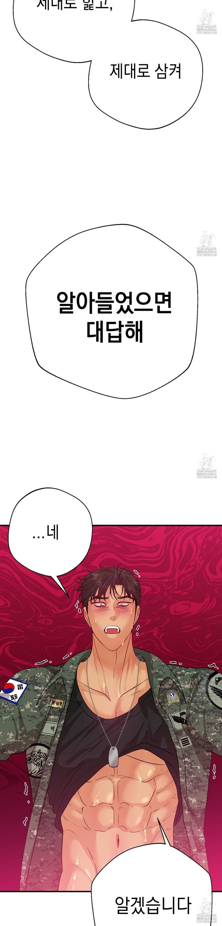 1743111084891nhbphfwnbc.jpg