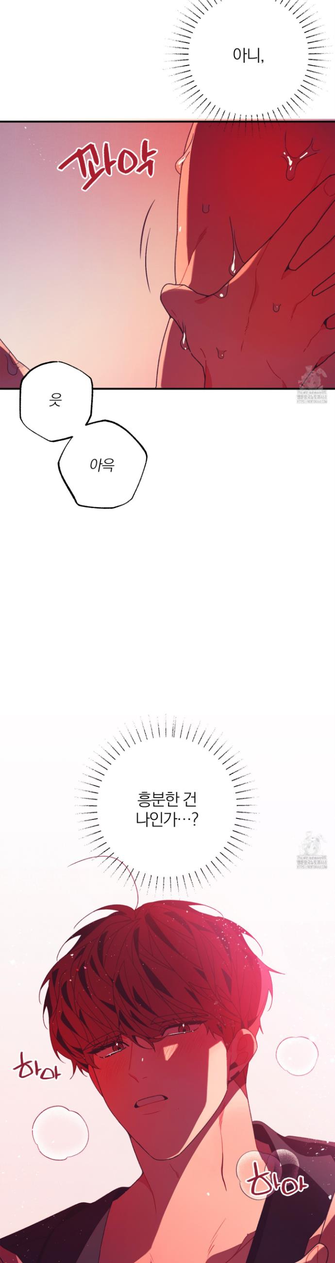 174093128544147bdvin4um9.jpg
