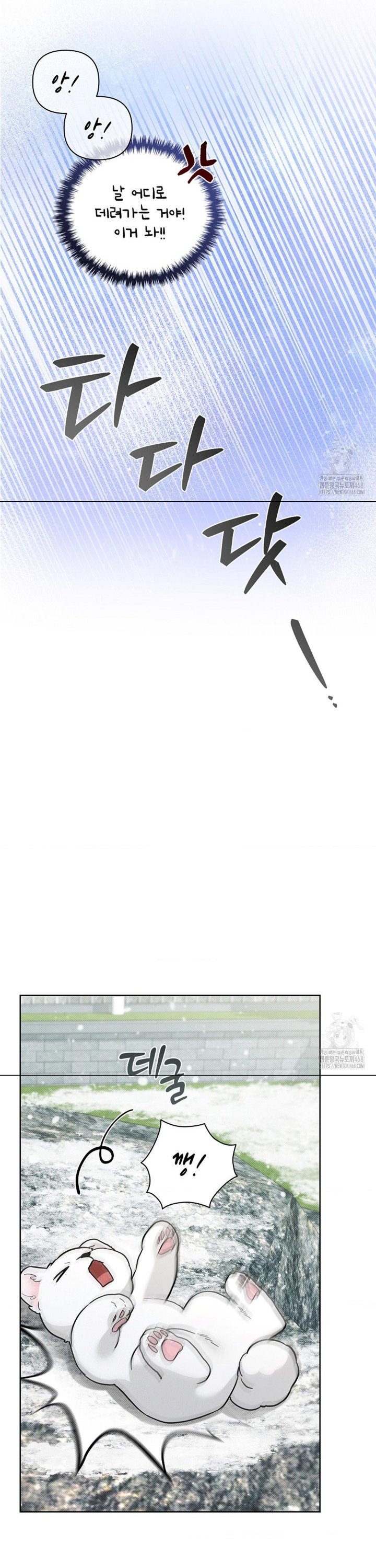 1743376931431a9b739txucq.jpg