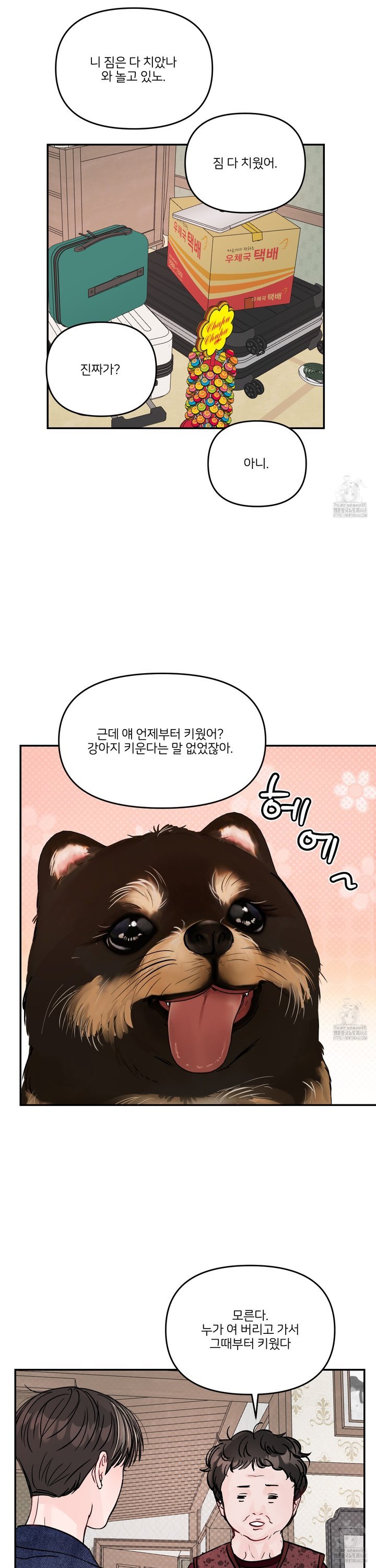 1743379730561hocii1ve6n.jpg