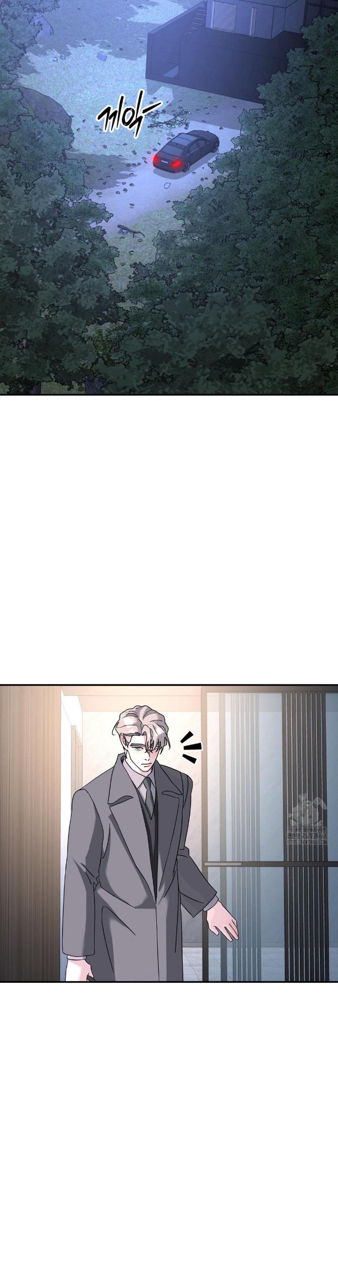 1741215303976rpxwbvrqa4a.jpg
