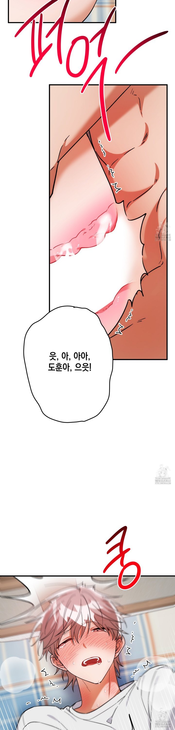 1741215144504exisl3sj1j7.jpg