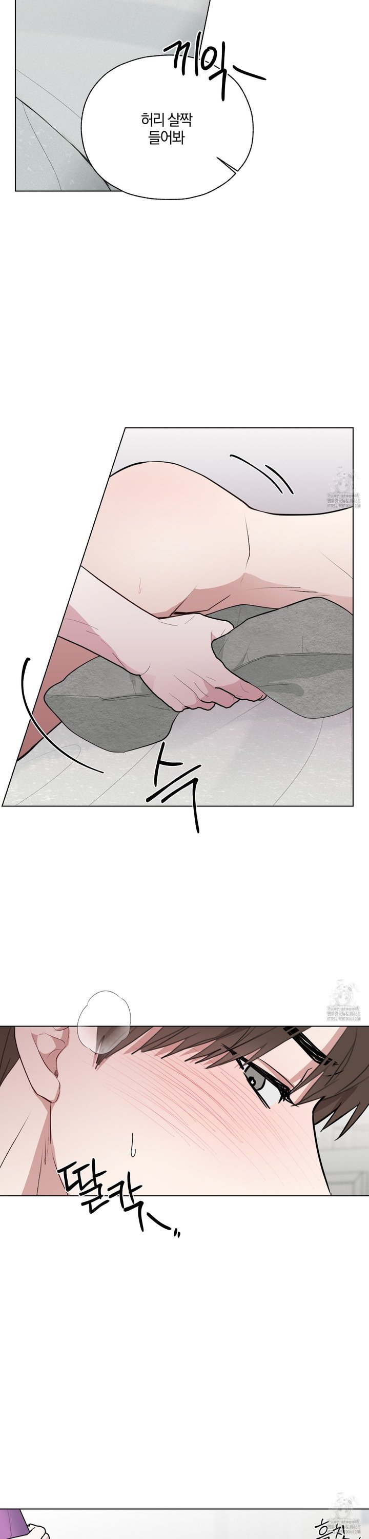 1741470240066bii50xolnuq.jpg