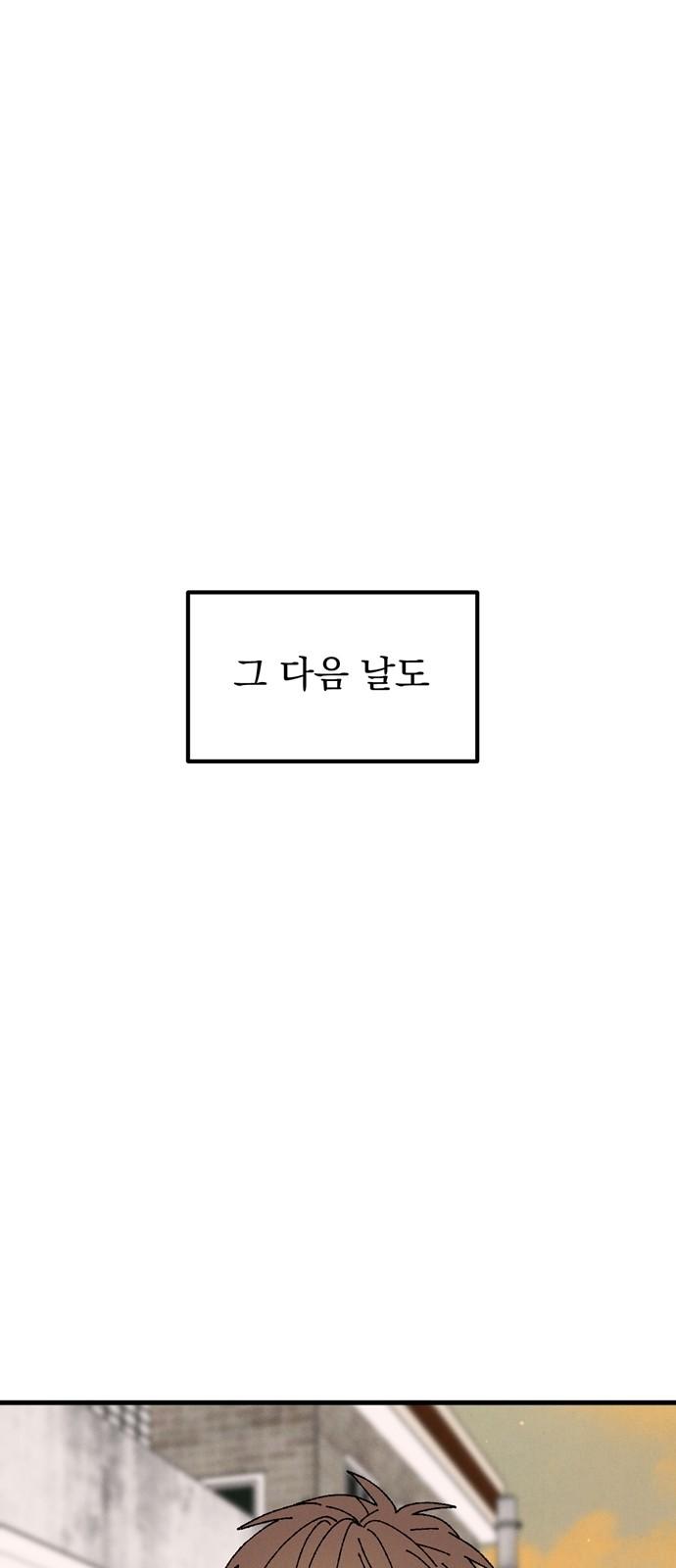 17448452945176skcifi4b8l.jpg