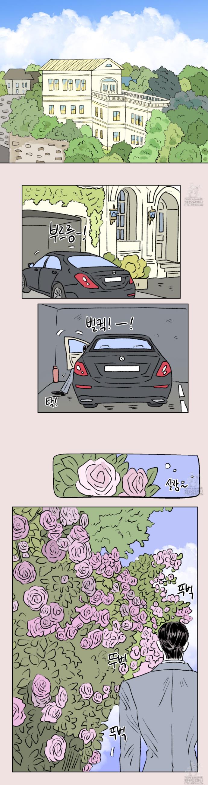 1745048341766dwwbwlyamc.jpg