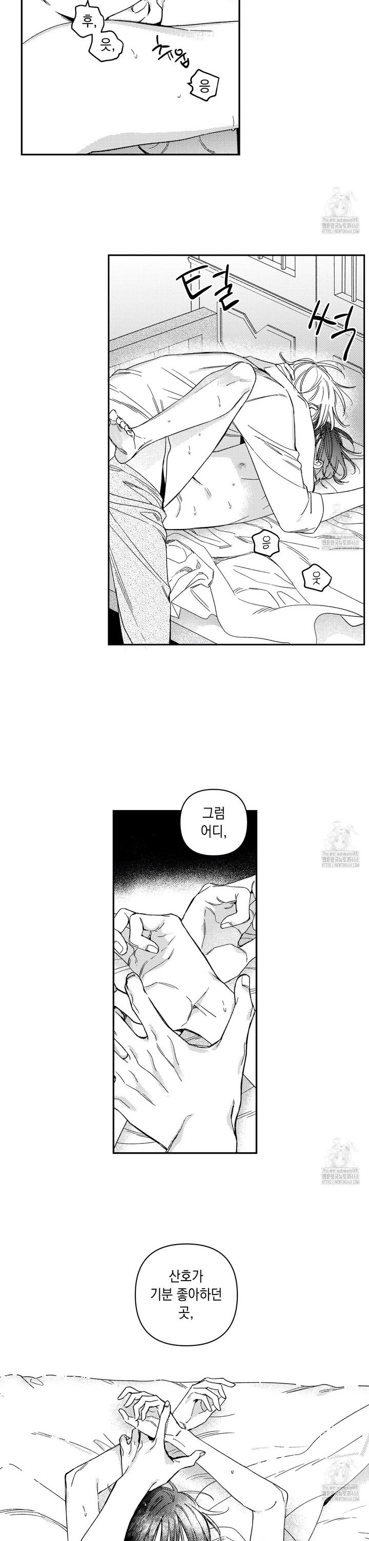 17453970743330o52cut1n0v.jpg