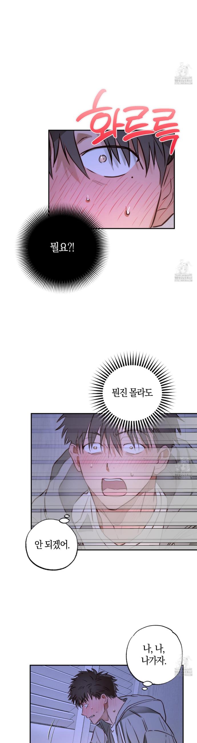 1745626376401xcgewtxljv.jpg