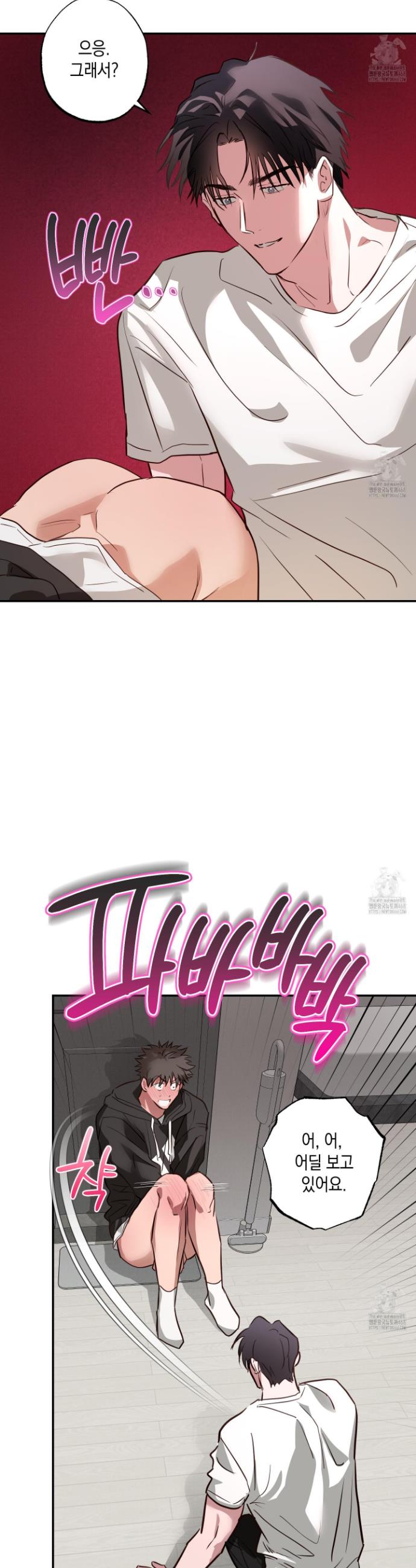 17456264917787hon3toyj2s.jpg