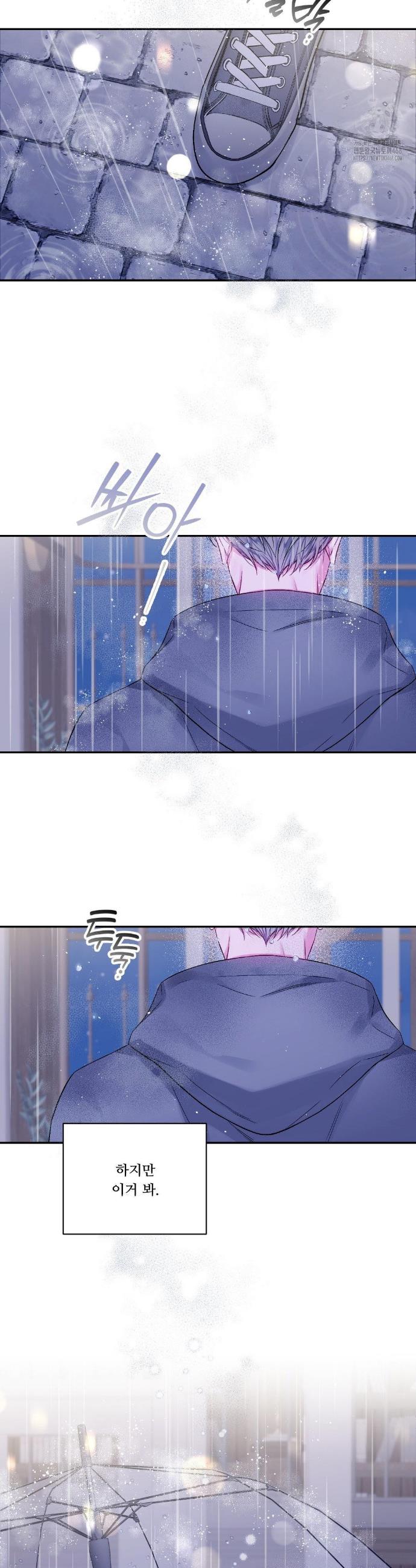1745707428721ty1hyeracca.jpg