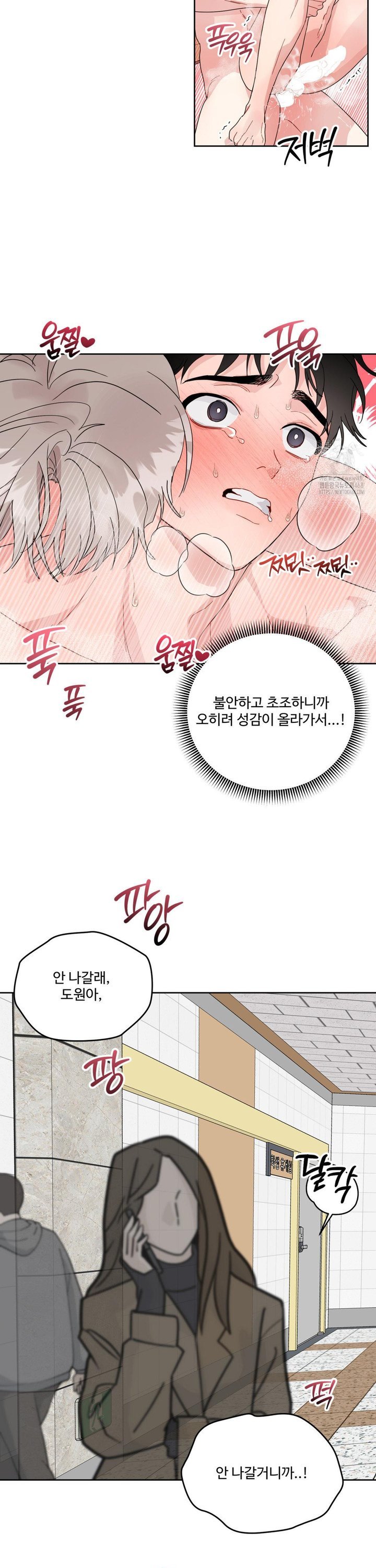 1743714124461xoyoxoomttd.jpg