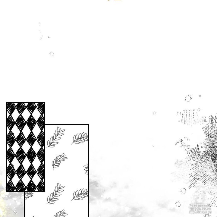 1744154778883o1ia25hmwdq.jpg
