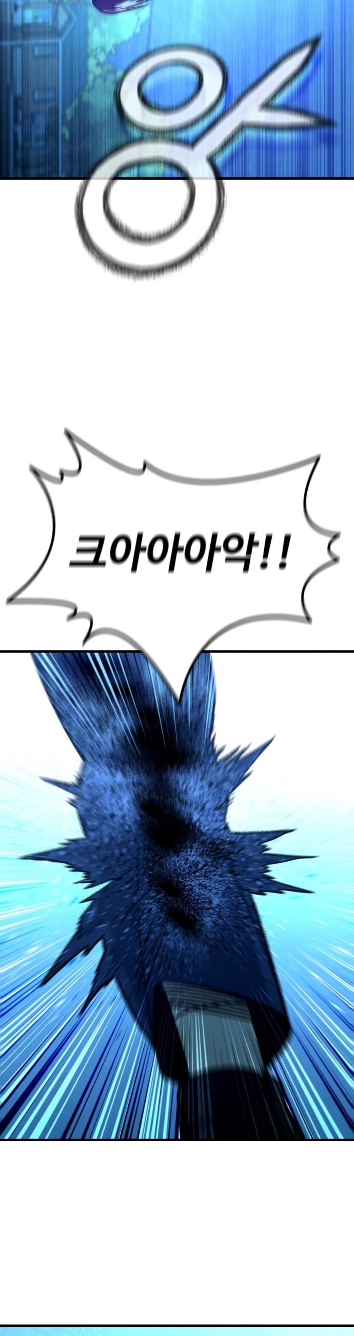 1746050042432sys5sftjskr.jpg
