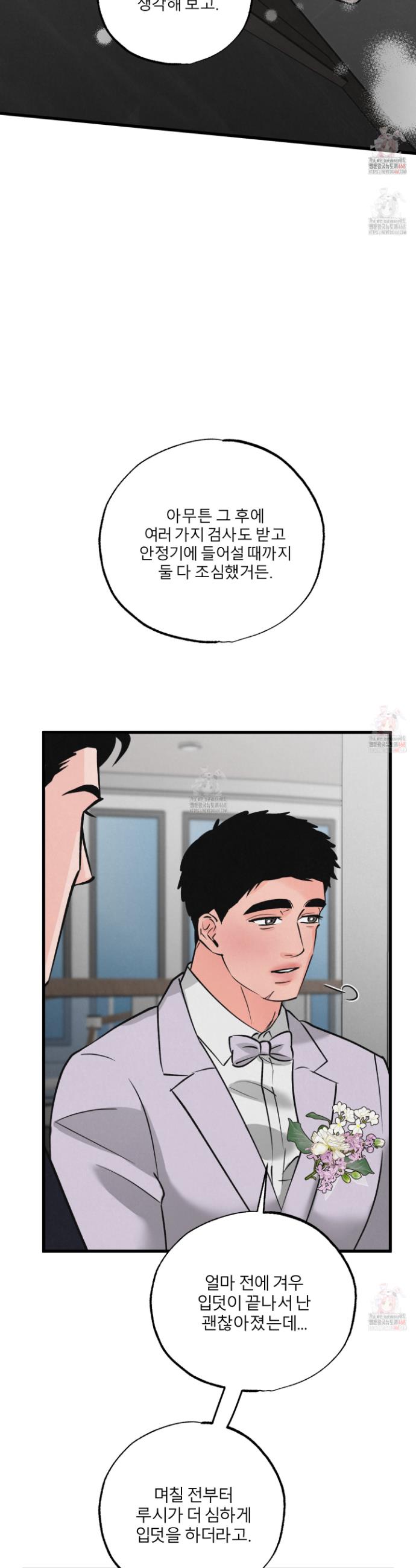 1747273172067zdd5wrnuyu.jpg