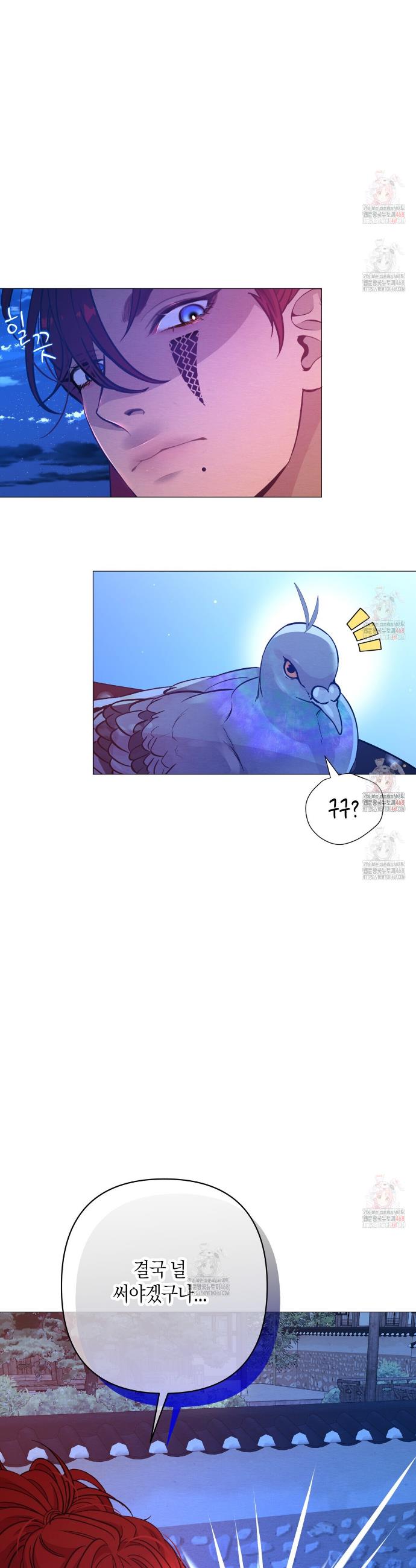 1747268861222wcipnfvoher.jpg