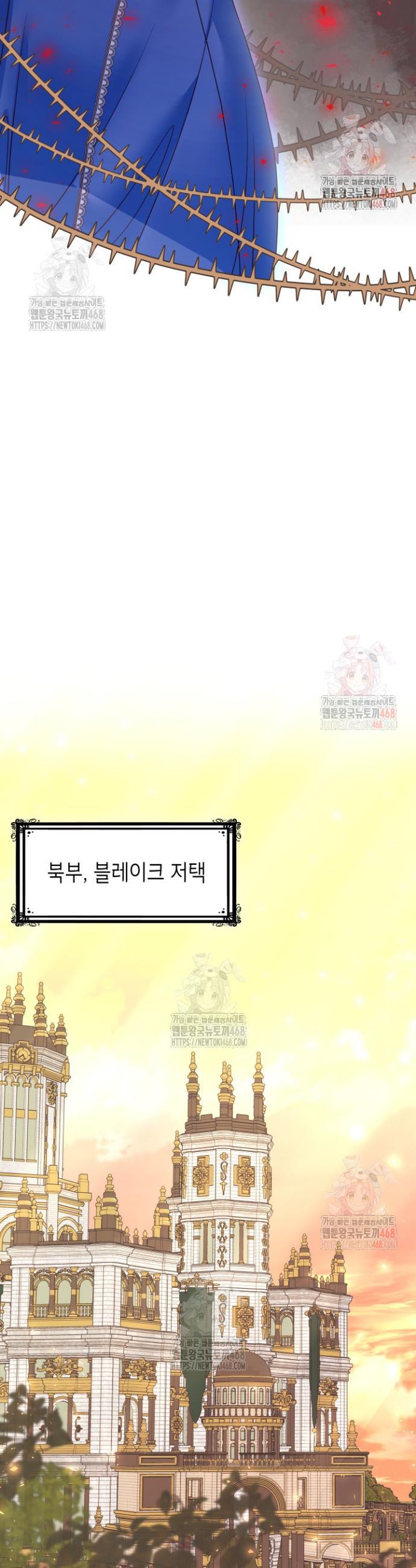 1747272521677i18ge1lhuwl.jpg
