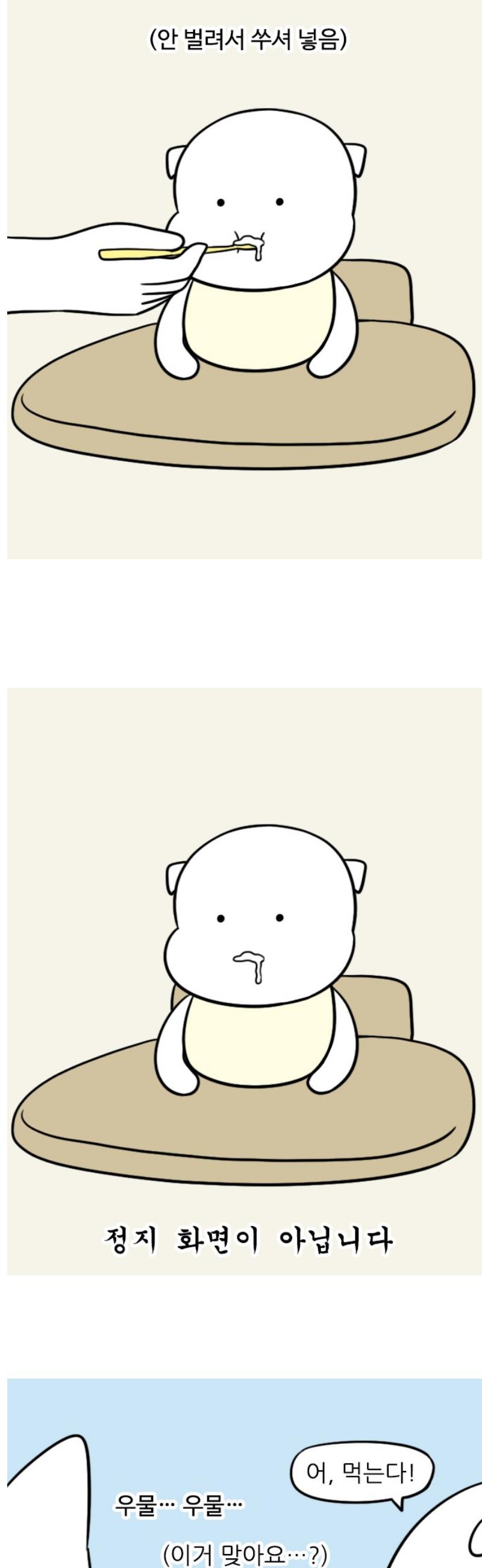 1747345085598ocel81noojg.jpg