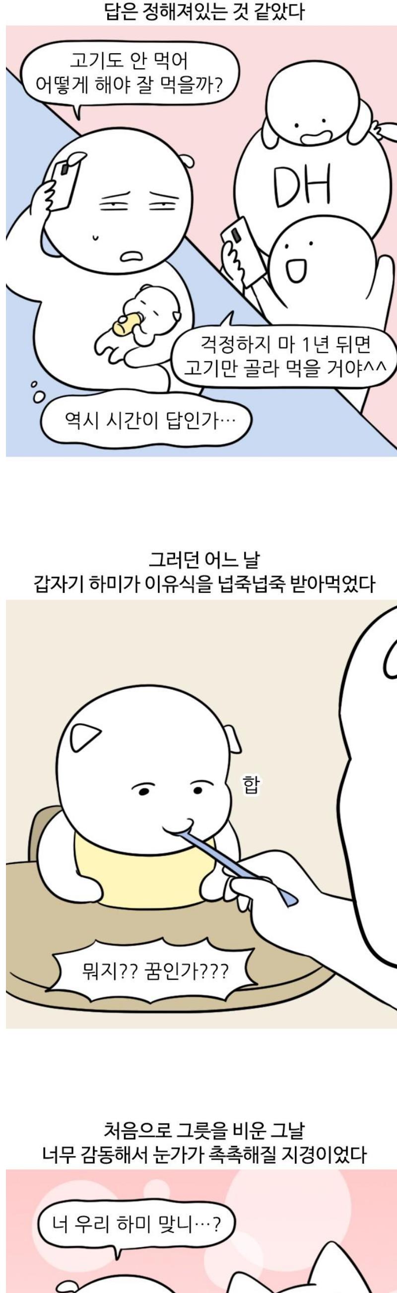17473450997784qwi4so6fer.jpg
