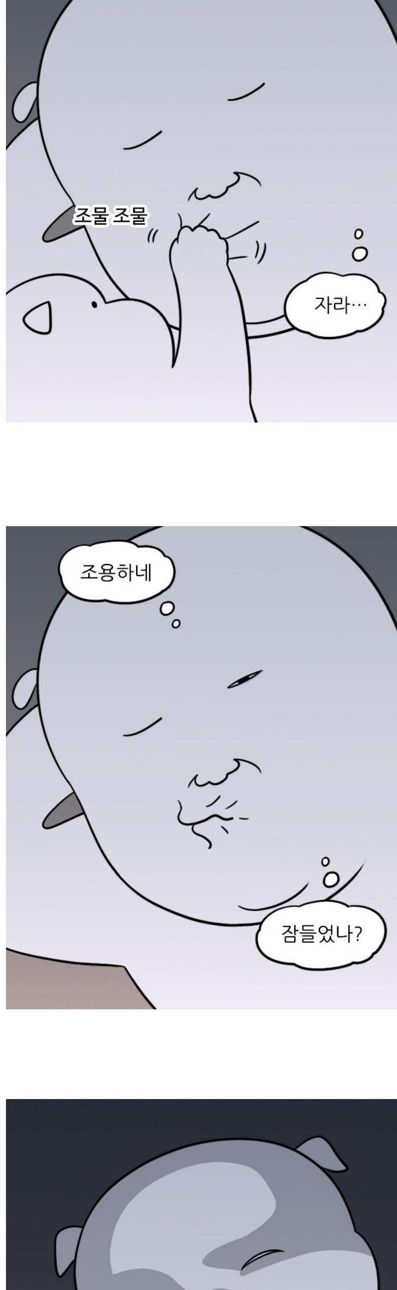 1747345141476z547hnroy4.jpg