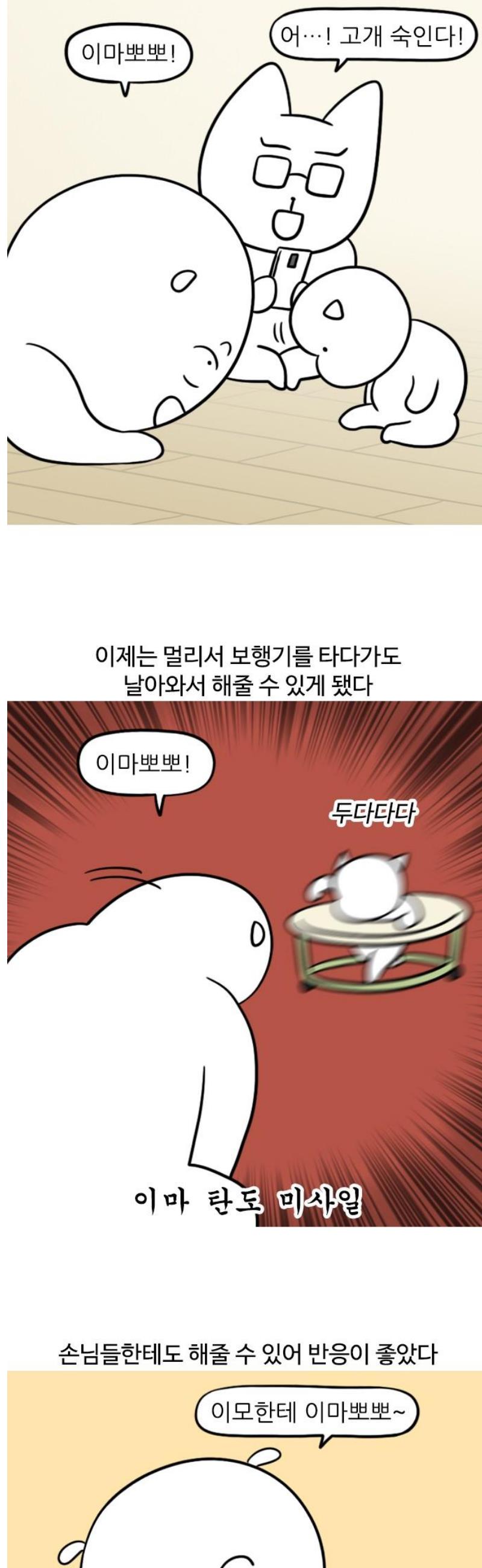 1747345169393up78woyuyh.jpg