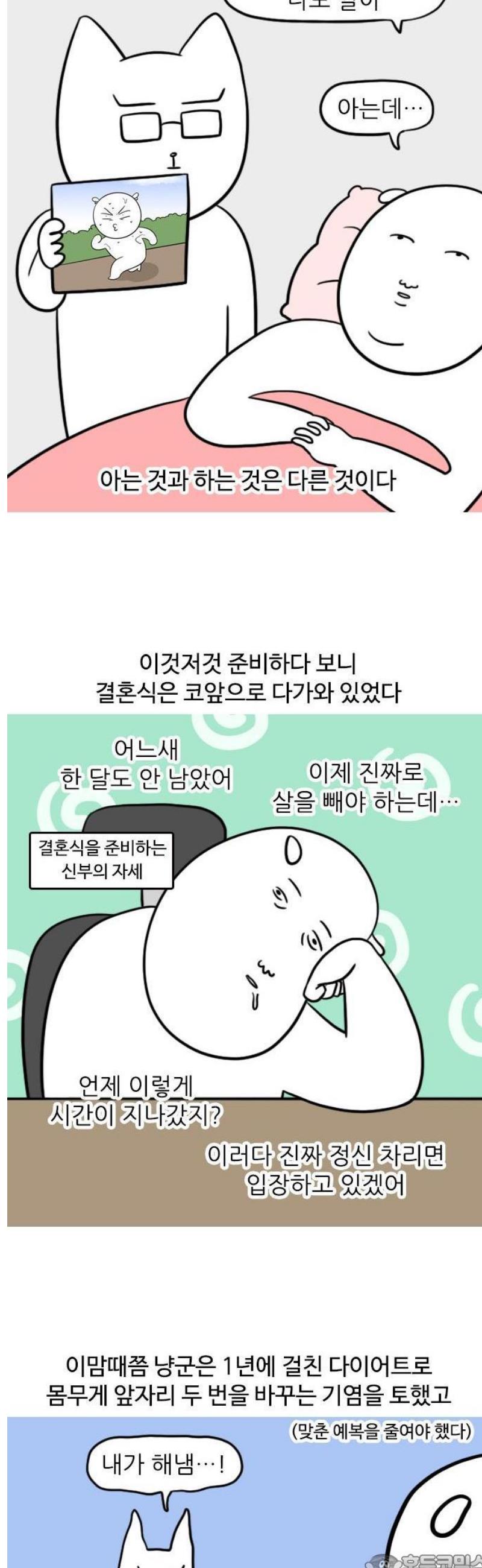 17473448114255qmymxc6kl3.jpg