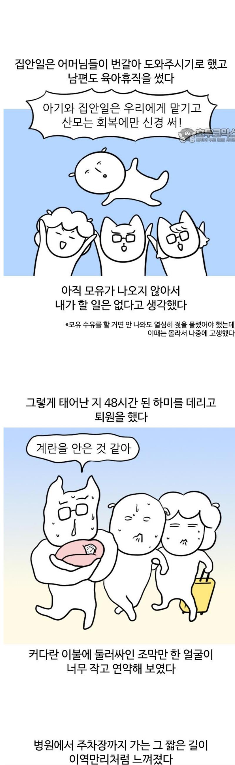 1747344966764tx3qiaqar2p.jpg