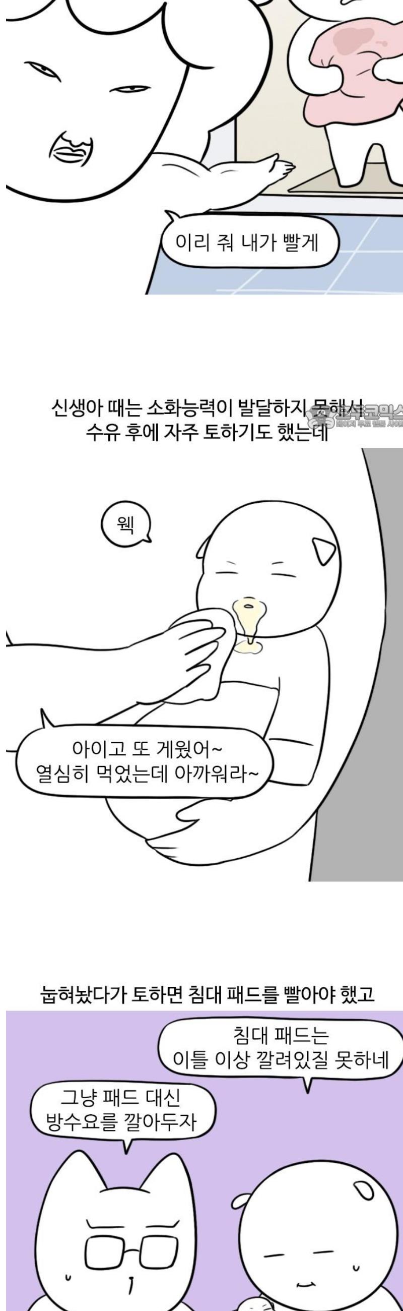1747345009431141cec10lat.jpg