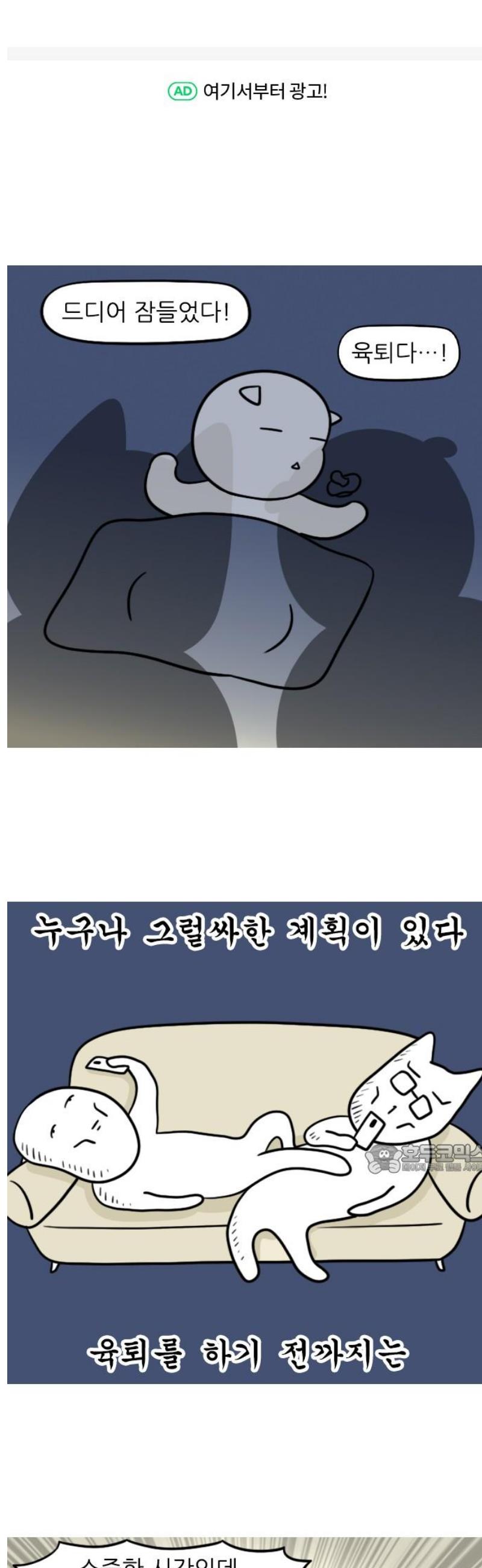 17473450274771s8kj8iiahq.jpg