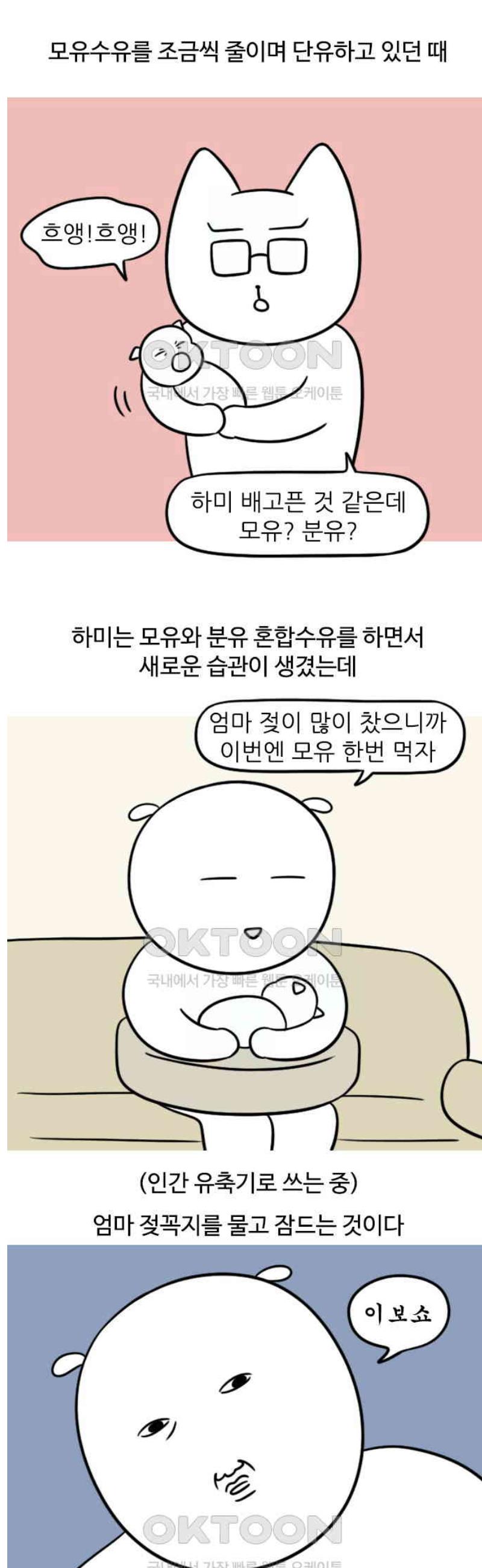 1747345023934e5yiusawthh.jpg
