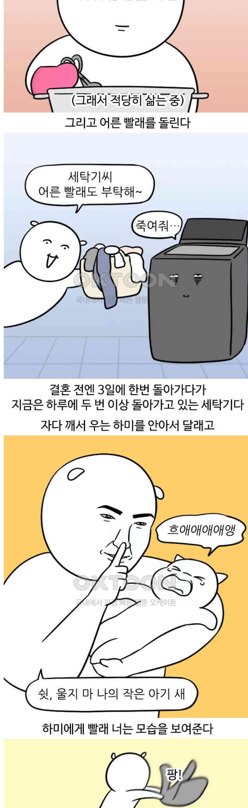 1747345047759qe4i6jtilbf.jpg