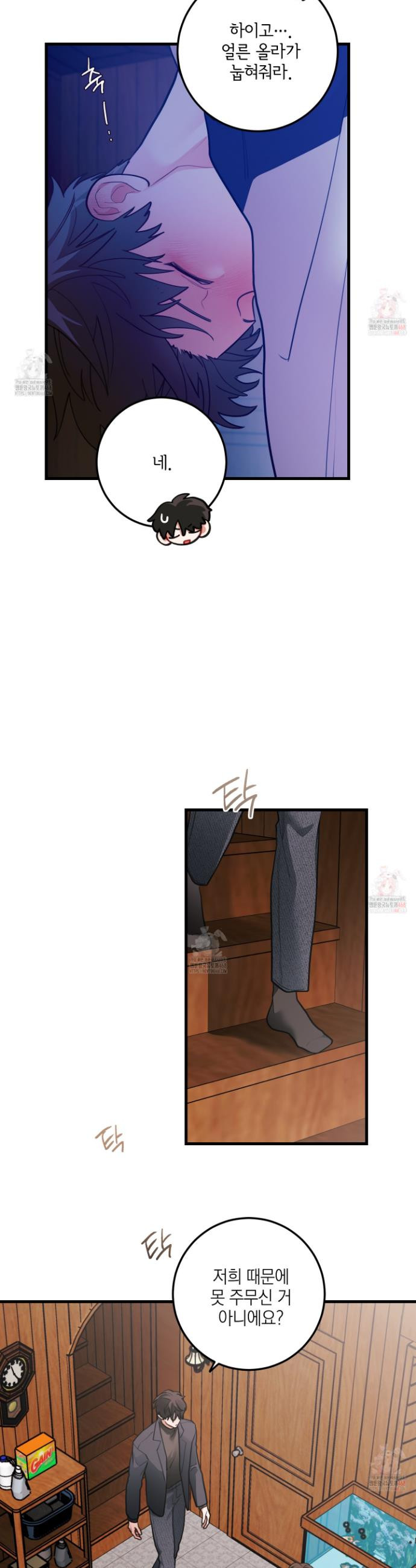 1747471292242ck6dqk6quif.jpeg